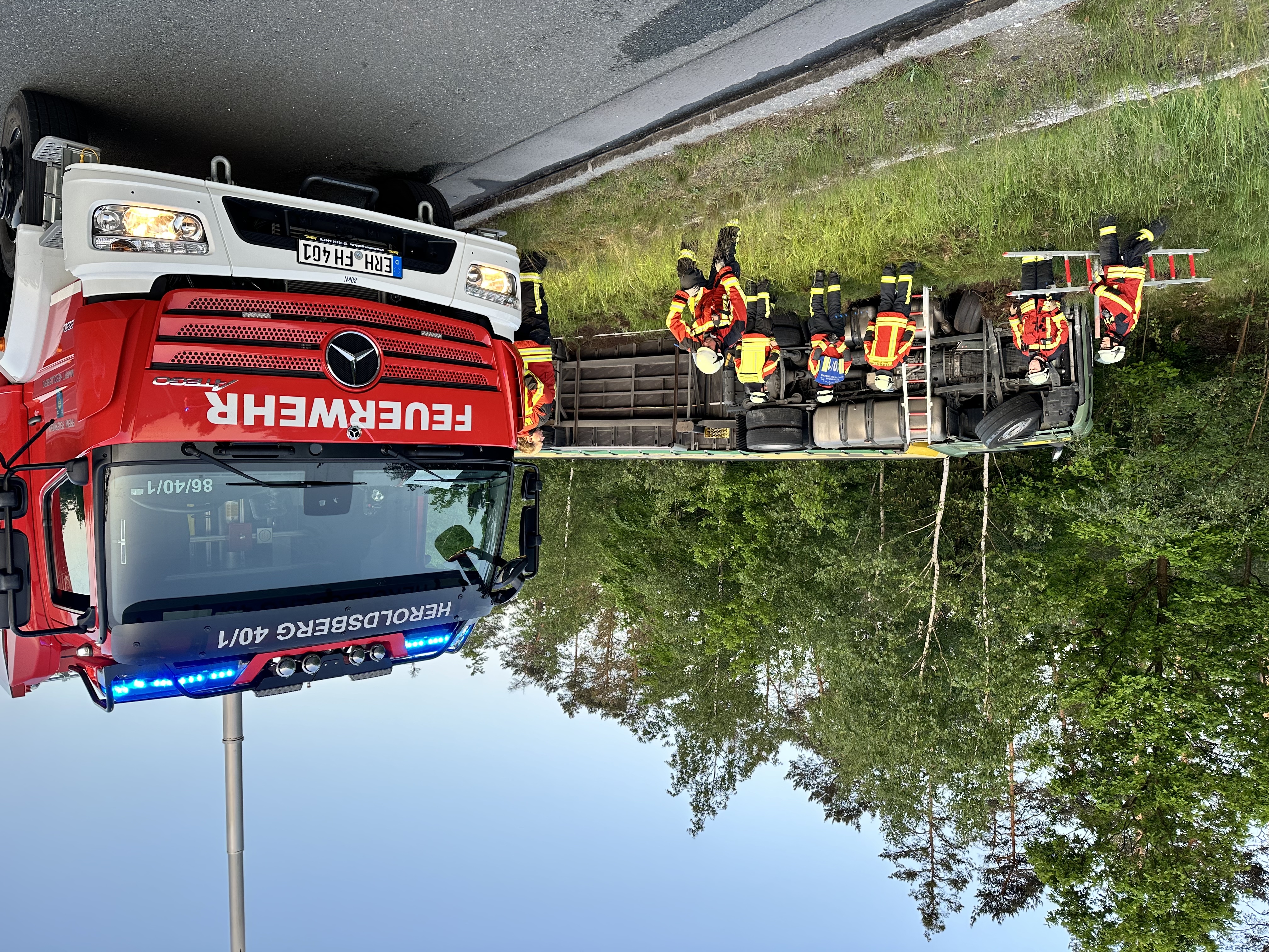 Delfino 05 249501.jpg